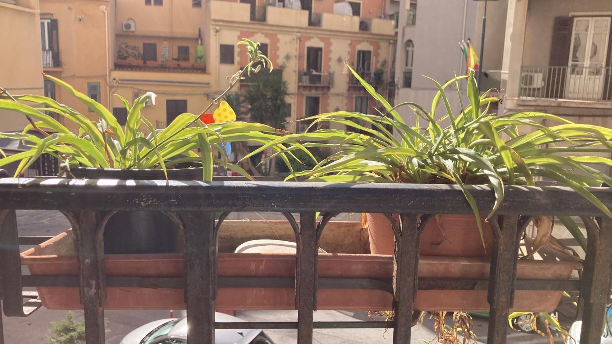 Casa Empedocle Apartment Palermo Exterior foto